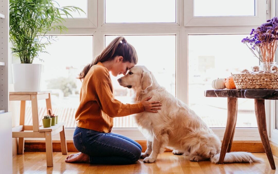 Alimentación sostenible para mascotas