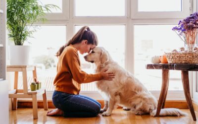 Alimentación sostenible para mascotas